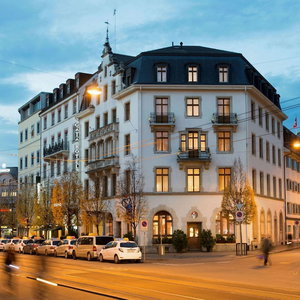 Hotel Gaia Hotel Basel - The Sustainable Hotel cazare Birsfelden
