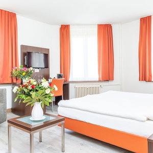 Hotel Hotel Rheinfelderhof cazare Birsfelden