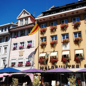 Hotel Waldshuter Hof cazare Urnasch