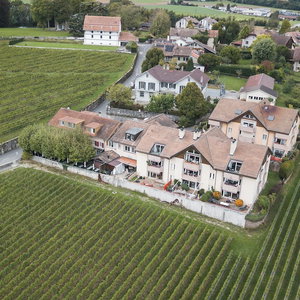 Hotel Amanthos Living Nyon (Self Check In) cazare Prangins