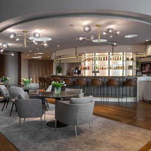 Hotel Radisson Blu Hotel, Basel cazare Birsfelden