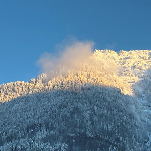 Hotel Gästehaus Hirschen cazare Schanis