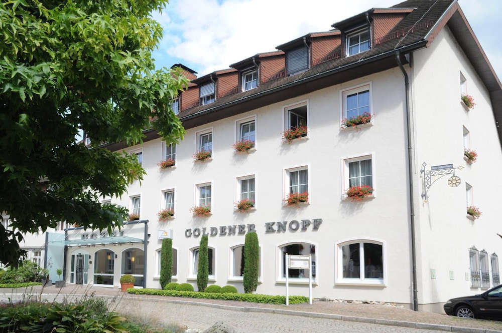 Hotel Hotel Goldener Knopf