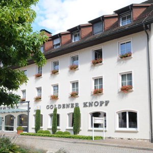 Hotel Hotel Goldener Knopf cazare Urnasch