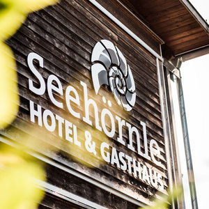 Hotel Hotel Und Gasthaus Seehörnle cazare Urnasch