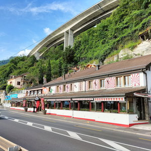 Hotel Castel View cazare Veytaux