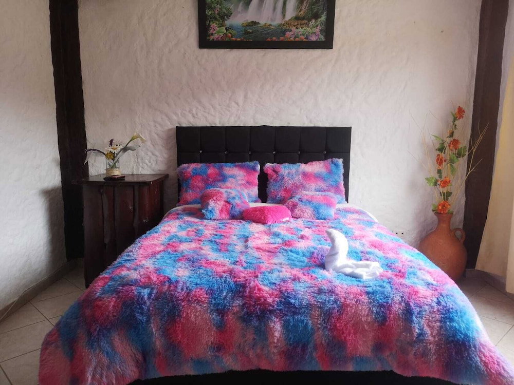 The Frailejon House