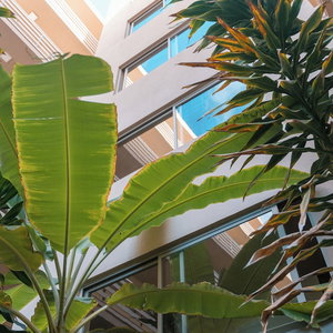 Hotel Las Rochas Mindelo cazare Sao Vicente