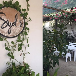 Hotel Syds Guesthouse I cazare Praia