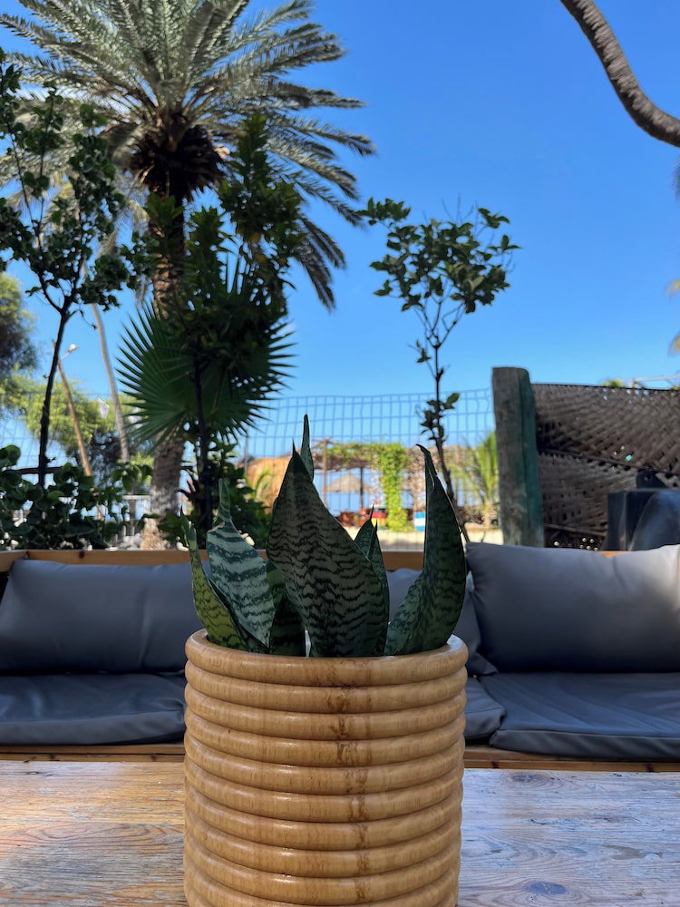 Hotel Baia Verde Resort Tarrafal