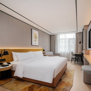 Hotel Hilton Garden Inn Beijing Temple Of Heaven East Gate Station cazare Beijing