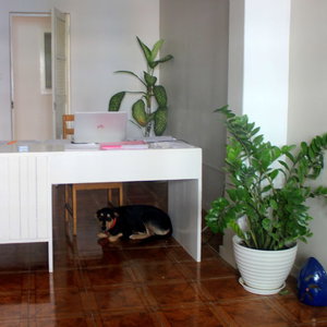 Hotel Residence A Paz B&B cazare Sal Rei