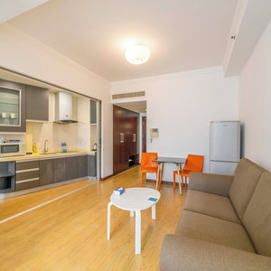 Hotel Tyms Xuhui Elegant 1Br Apt cazare Xuhui
