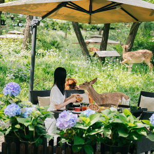 Hotel Zhi Resort Beijing cazare Jiayin