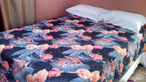 Hotel Apartahotel Next Nivel cazare Punta Cana