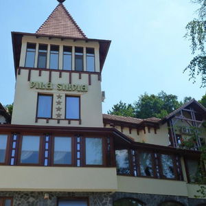 Hotel Vila Silvia cazare Sovata