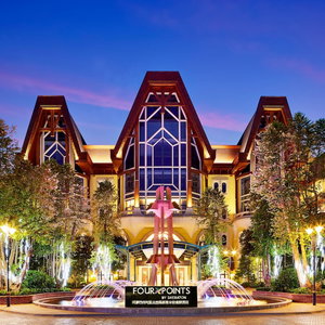 Hotel Four Points By Sheraton Heyuan Resort cazare Linjiang