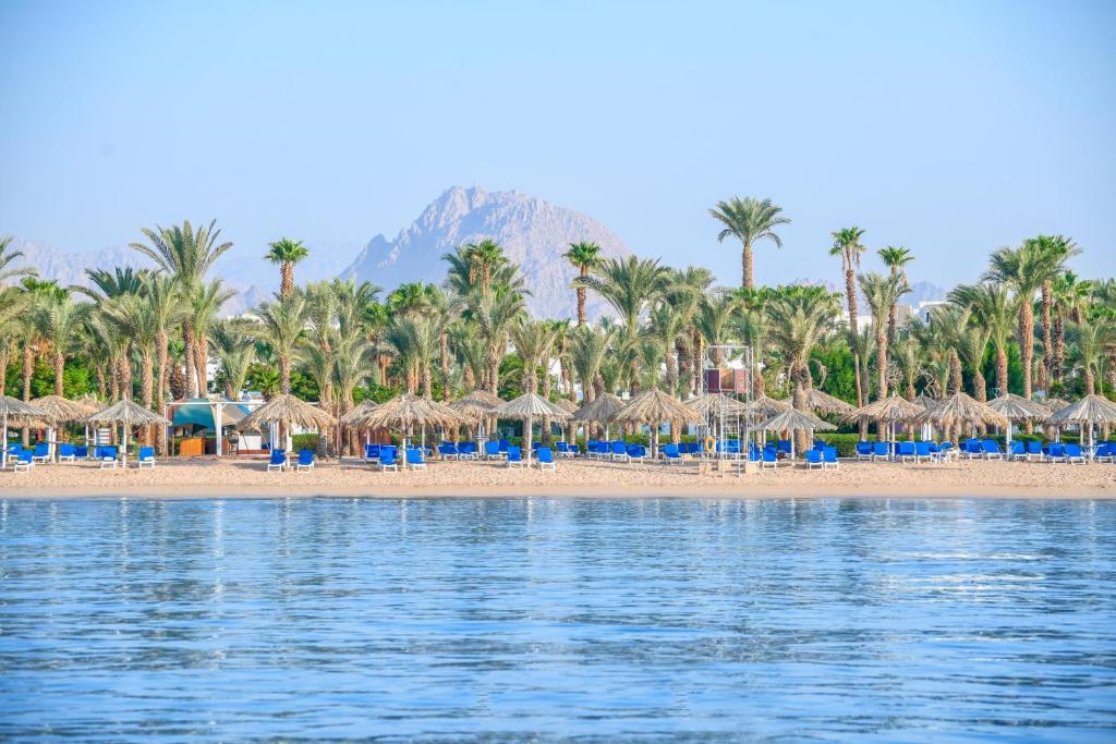 dal travel Jaz Sharm Dream