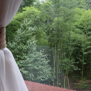 Hotel Qing Dynasty House cazare Leshan