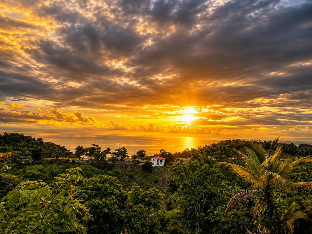 Hotel Pura Natura Lodge