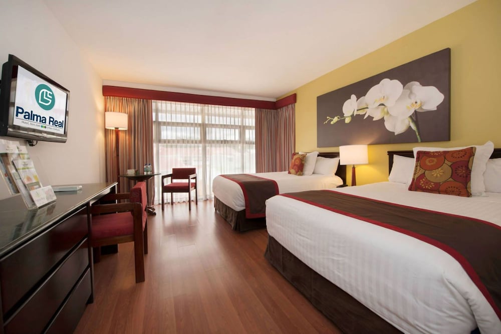 Hotel Hotel Palma Real