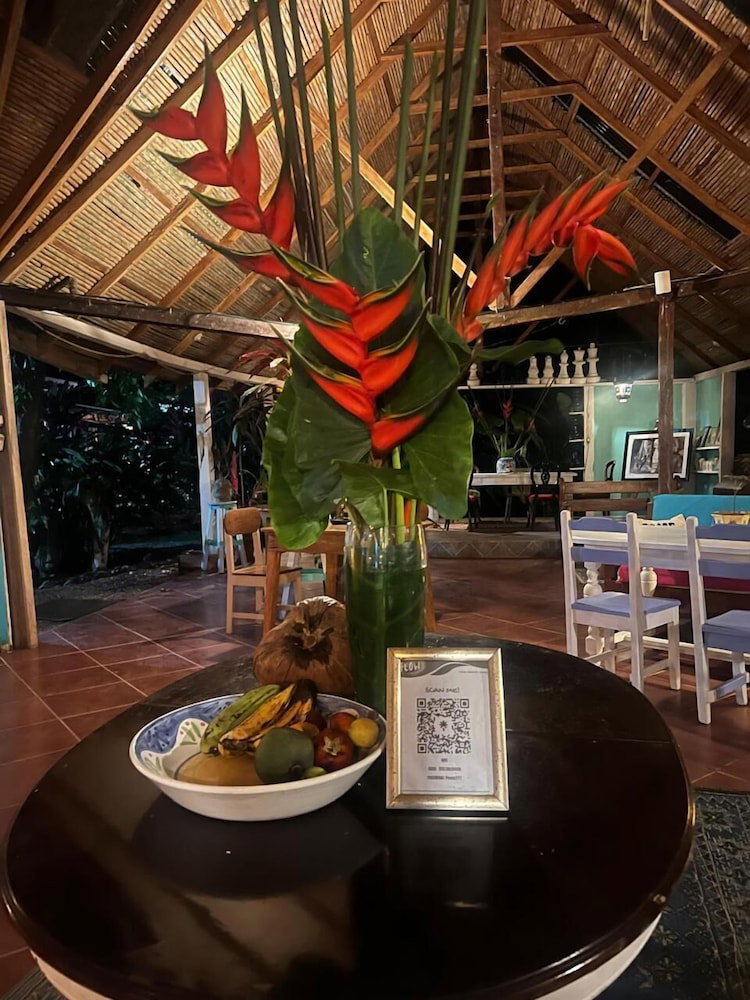 Hotel Caribbean Flow Cabins