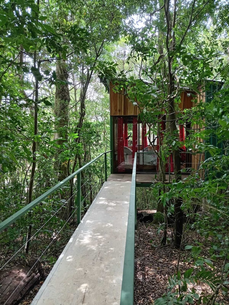 Hotel The Green Tree Lodge