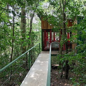 Sejur The Green Tree Lodge vacanta Monte Verde