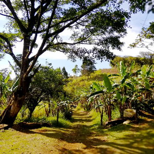 Sejur Cabañas Las Orquideas vacanta Miramar