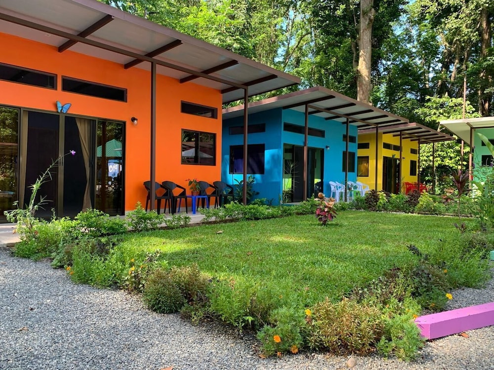 Hotel Caribbean Blue Morpho