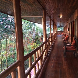 Hotel Miss Junies Lodge cazare Parque Nacional Tortuguero