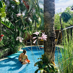 Hotel Ten North Tamarindo Beach Hotel cazare Tamarindo