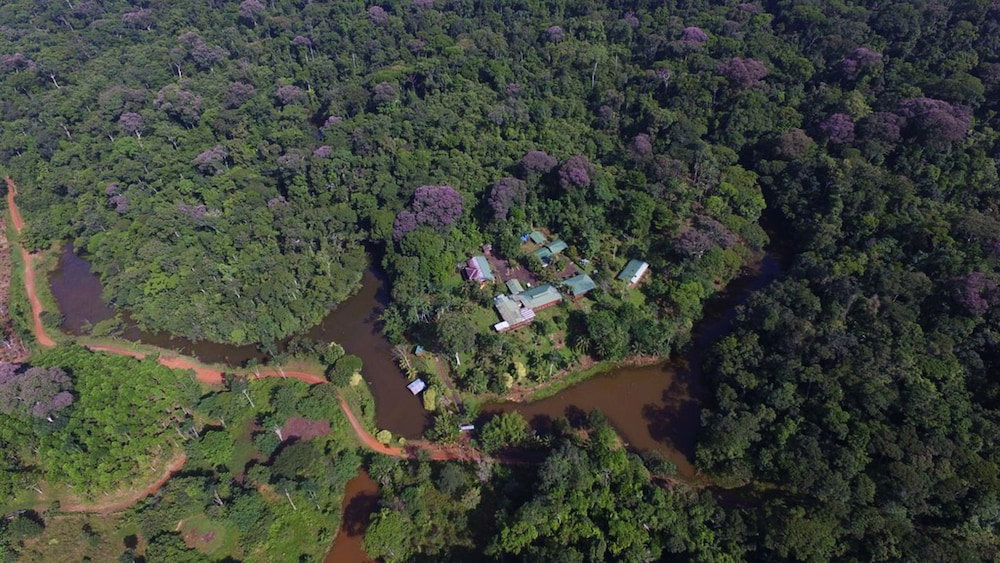 Hotel La Laguna Del Lagarto Eco-Lodge