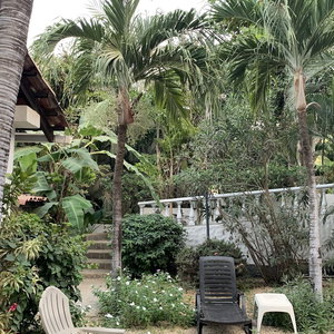 Hotel Hotel Flores - Adults Only cazare Tamarindo