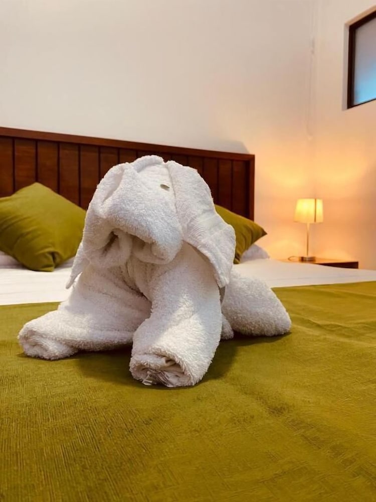 Hotel Casa Macaw