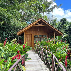 Hotel Natural Green Lodge cazare La Fortuna