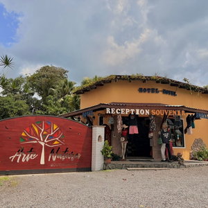 Hotel Hotel Arte Natura cazare La Fortuna
