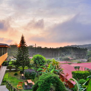 Hotel Hotel Cipreses cazare Monte Verde