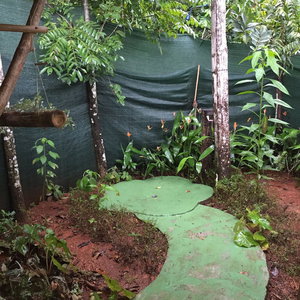 Hotel Isla Violin Eco Lodge cazare Puerto Cortes