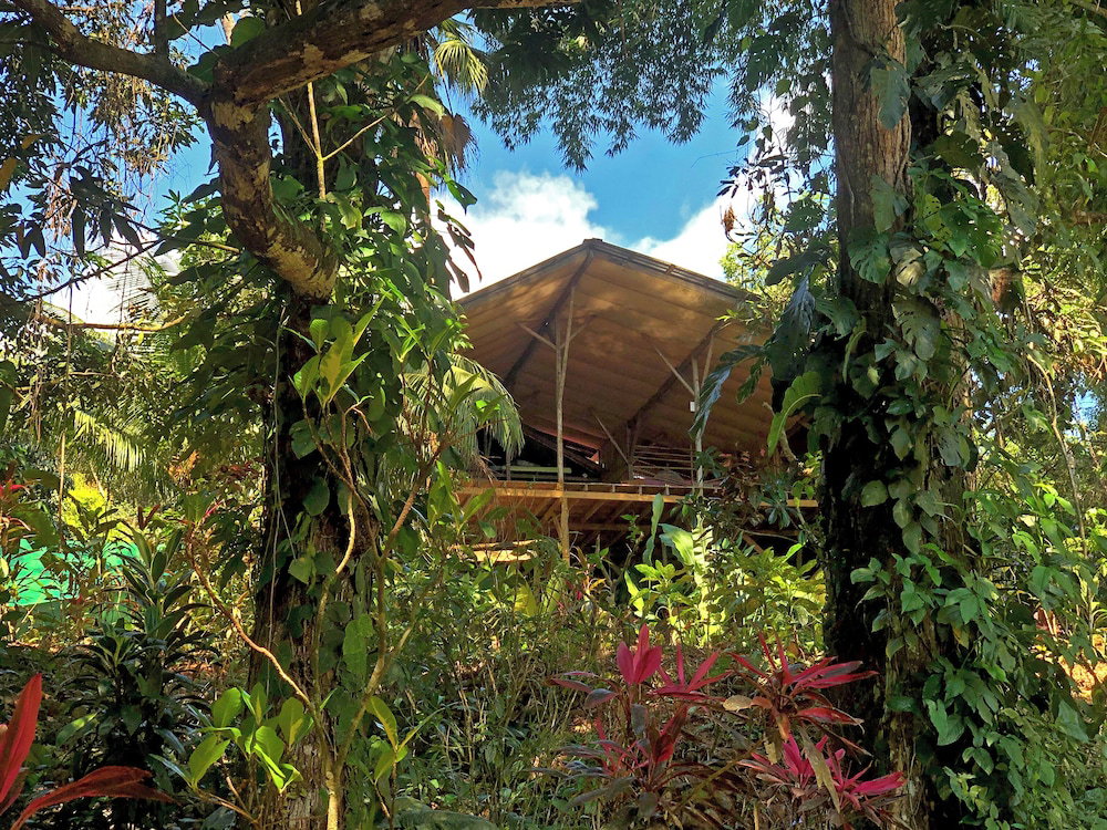 Hotel Hostel Cascada Verde