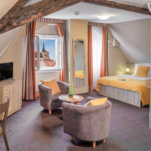 Sejur Hotel Palác U Kočků By Adrez Living vacanta Stare Mesto