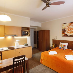 Sejur Anyday Apartments vacanta Nove Mesto pod Smrkem