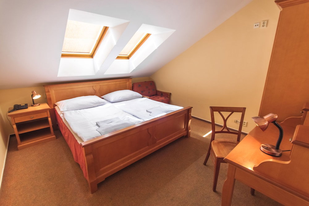 Hotel Pension Brezina Prague