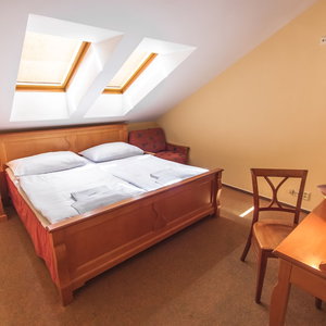 Sejur Pension Brezina Prague vacanta Nove Mesto pod Smrkem