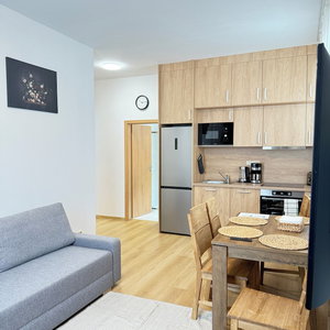 Hotel Parkside Apartments Prague cazare Kosor