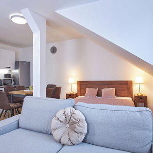 Sejur Wenceslas Square Residence vacanta Nove Mesto pod Smrkem