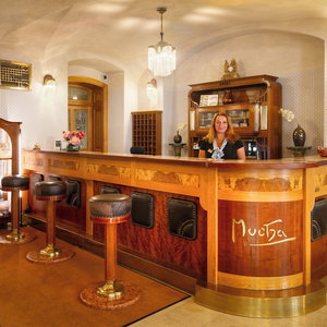 Hotel Hotel Mucha cazare Karlin