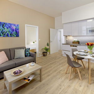 Hotel Downtown Suites Jugoslavska cazare Karlin