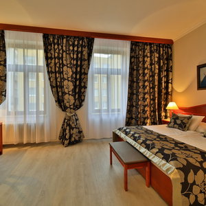 Hotel Hotel Carlton cazare Karlin