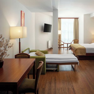 Sejur Ankora Hotel Prague vacanta Nove Mesto pod Smrkem